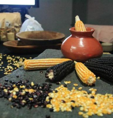 Gastronomía Costarricense Fogón Futuro