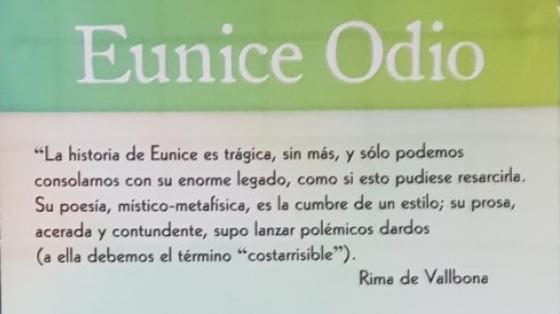 "La historia de Eunice es trágica, sin más, y solo podemos consolarnos con su enorme legado, como si esto pudiese resarcirla".