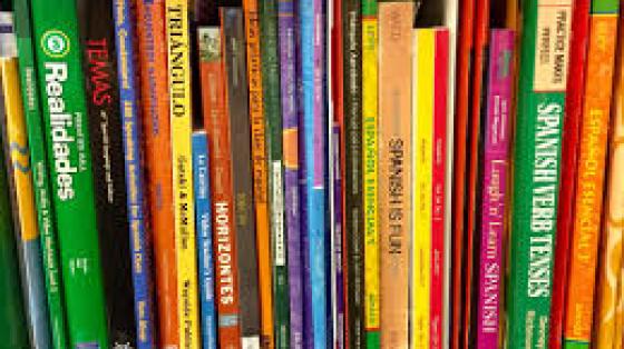 Grupo de libros organizados en un estante