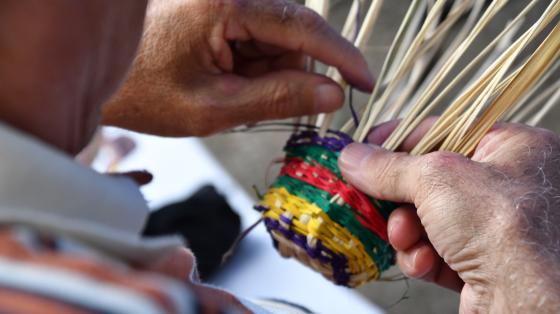 Taller de canastas con fibras vegetales será el martes 21 de enero a partir de las 9 am Taller de canastas con fibras vegetales será el martes 21 de enero a partir de las 9 am