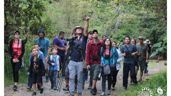 Personas detrás de un guía realizando avistamiento de especies en el Parque