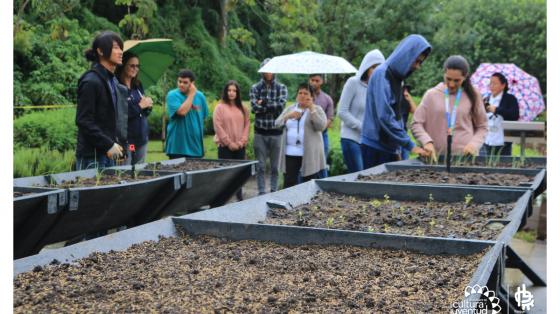 Personas alrededor de cajas llenas de tierra y abono