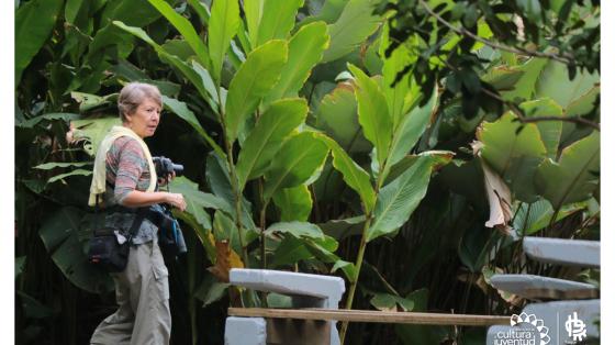 Señora con una cámara fotográfica cerca de unas plantas altas 