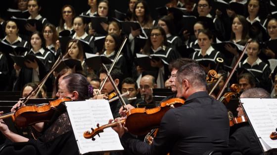 Violas y CSN Violas y CSN