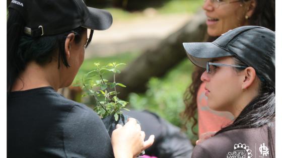 Jóvenes con una planta en la mano en una clase de jardinería