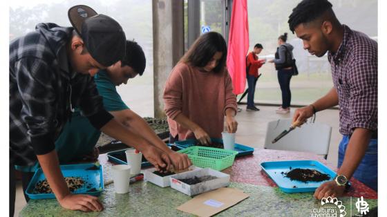 Cuatro personas haciendo compostaje con material que tienen sobre una mesa