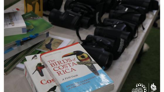 Mesa con binoculares y libros sobre aves
