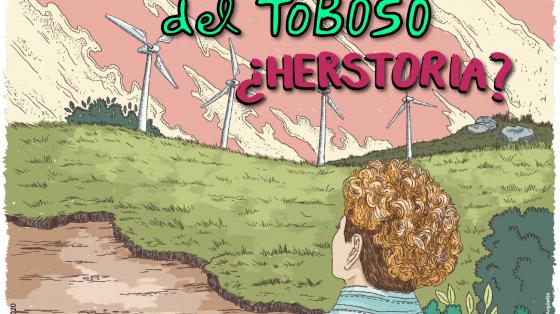 ulcinea del Toboso ¿Herstoria?