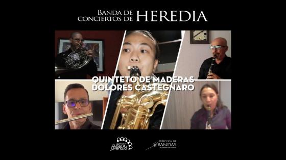 músicos