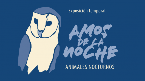 Exhibición temporal "Amos de la noche. Animales nocturnos". Museo Nacional