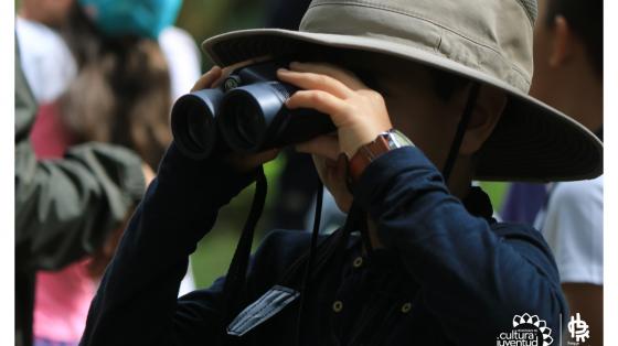 Taller: Uso de la plataforma eBird y los conteos de aves Niño mirando aves con binoculares