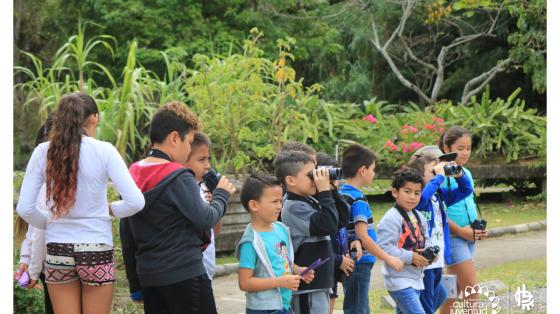 Sesión para niños y niñas: Descubre la diversidad de las aves Grupo de niños listos para buscar aves