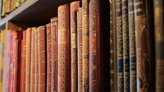 Estantería de libros antiguos de diversos tamaños.