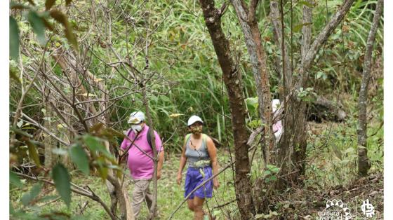 Personas caminando en uno de los senderos del Parque La Libertad