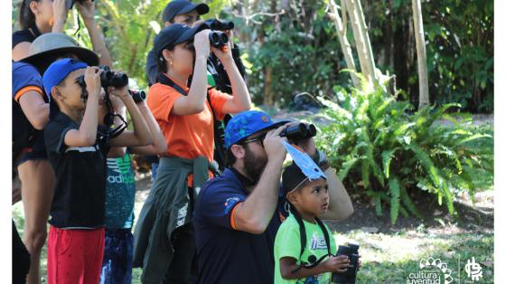 Taller: Sesión de detectives de las aves Taller: Sesión de detectives de las aves