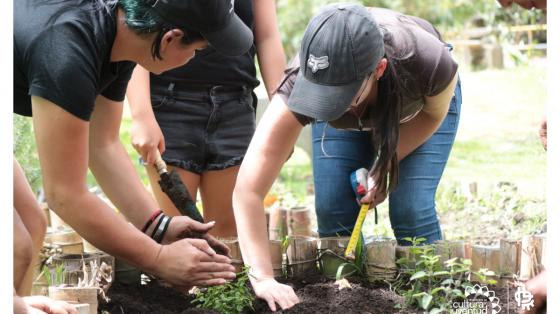 Personas sembrando en una huerta