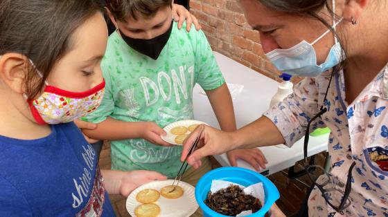 Degustación de insectos en un taller del Museo Nacional