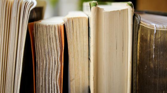 Conversatorio "El origen de los ayundatimientos en la provincia colonial de Costa Rica" Diversos libros ordenados verticalmente.