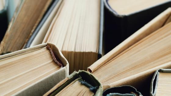 La Guerra prometida Arreglo de vista superior de libros.