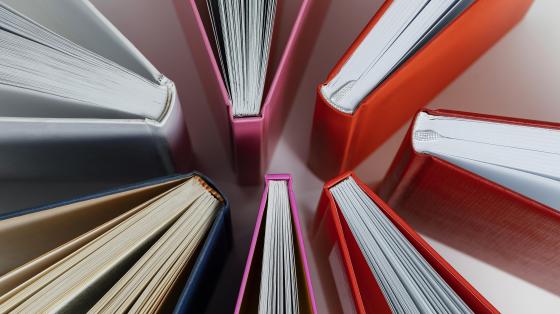 Mesa redonda "Ciclos y avances de la novela costarricense: tradición y modernidad en la invención ficcional de un país" Arreglo vertical de libros de vista superior.