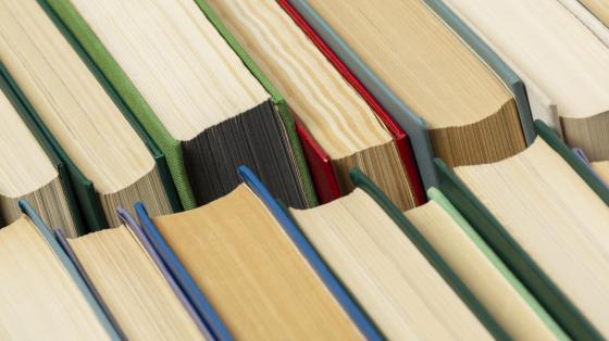 Cambio cultural: el aporte de las migraciones a la cultura costarricense Arreglo diagonal de varios libros de colores en dos columnas.