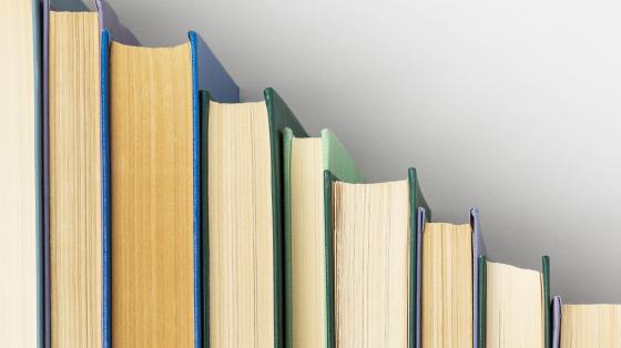 Premiación de Concurso de Faroles Libros ordenados verticalmente de mayor a menor.