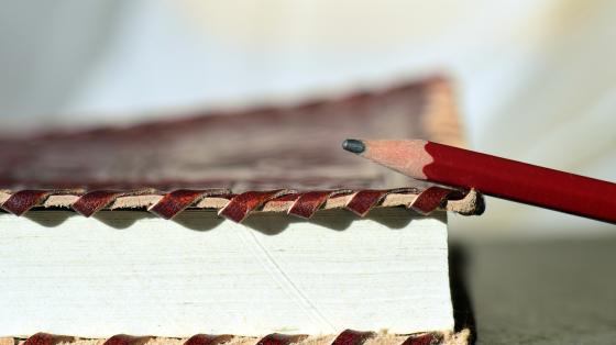 Espigando el pasado: un atisbo a la poesía costarricense Un libro y un lápiz de grafito.