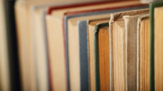 La ruta de los héroes Libros ordenados verticalmente.