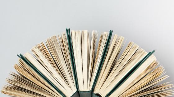 Mesa redonda "Identidad, diversidad y literaturas en Costa Rica: búsquedas, desencuentros y pluralidades" Arreglo medio circular con libros.