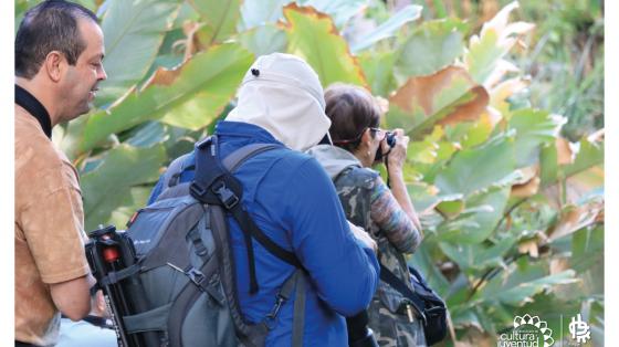 Taller de fotografía ambiental