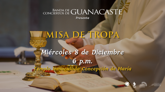 Concierto Especial "Misa de la Inmaculada Concepción de María" - Banda de Conciertos de Guanacaste imagen de manos de padre en misa en momento de homilía