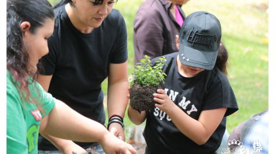 Curso de hidroponía | Parque La Libertad Curso de hidroponía | Parque La Libertad