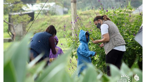 Taller de Polinizadores | Parque La Libertad