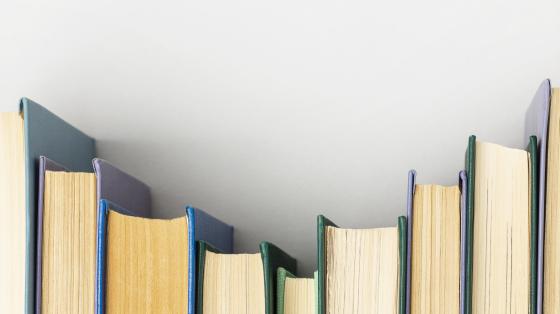 Ecfrasis: el caso de Venus en dos poemas de Aníbal Núñez Diversos libros ordenados verticalmente.
