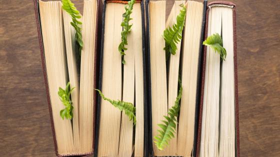 Recital El Poeta y el Medio Ambiente Composición de libros y plantas.