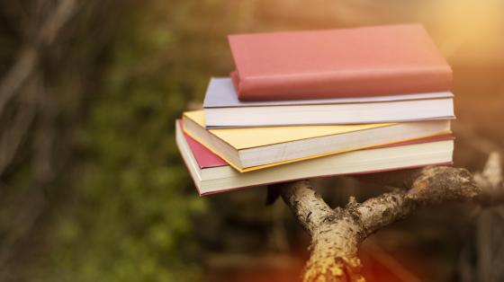 Vamos al parque Diversos libros en exteriores.