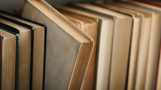 Exposición documental "Guerra de Coto" Composición de libros ordenados.
