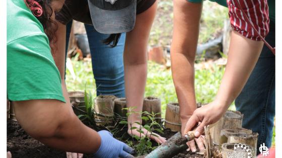 Curso de Hortalizas | Parque La Libertad Curso de Hortalizas | Parque La Libertad