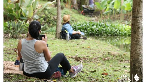 Taller de fotografía de paisaje y naturaleza| Parque La Libertad Taller de fotografía de paisaje y naturaleza| Parque La Libertad