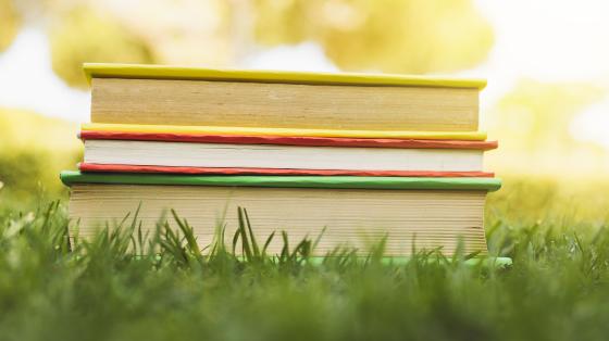 Feria del Libro de Sarchí Fondo difuminado amarillo. En zona verde, tres libros apilados verticalmente.