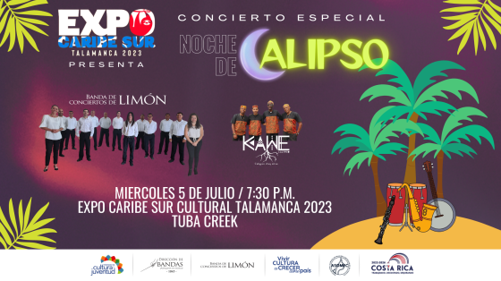 IV Concierto de Extensión en "Valle de la Estrella" | Banda de Conciertos de Limón foto de la Banda de Limón con palmeras y luna alrededor