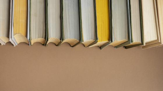 Conferencia "Presencia de la población chicana en la región sur de Costa Rica y su influencia” Sobre un fondo beige, una fila de libros en la parte superior.