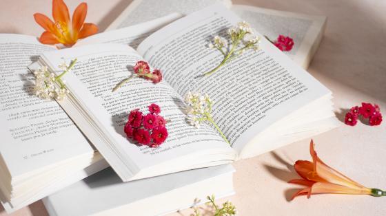 Exposición de pintura "Entre pétalos" del colectivo Las Libélulas Doradas Sobre una mesa blanca, tres libros apilados y abiertos entre diversas flores y pétalos.