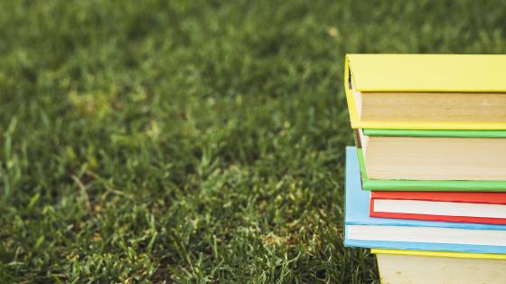 Picnic de Cuentos por la Niñez Torre de libros en una zona verde.