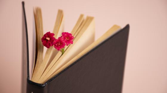 Fondo rosado claro. Un libro abierto en posición vertical y entre sus hojas unas flores. 