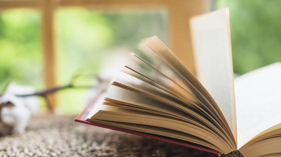 Presentación del libro "Una Aurora de Esperanza" de Ana Lorena Vargas Fondo difuminado. Un libro abierto en primera plana.