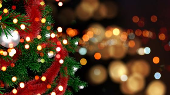 Celebremos nuestras tradiciones: Posada Navideña Árbol de navidad y luces difuminadas.