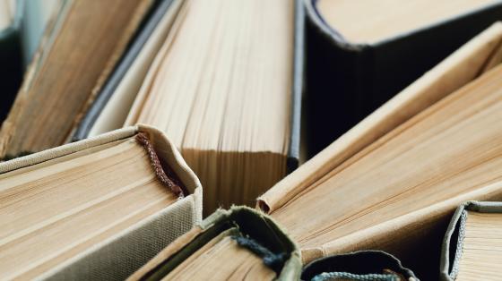 Conversatorio "Historia Antigua de la Península de Guanacaste" Varios libros juntos vistos desde arriba