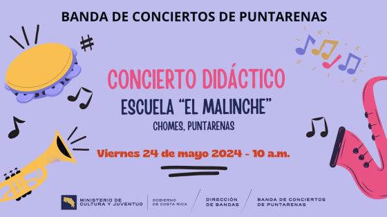 Dibujos de instrumentos de viento y percusión sobre fondo lila con notas musicales y flores