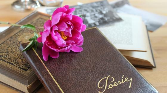 Unos libros abiertos y otros cerrados con una flor encima